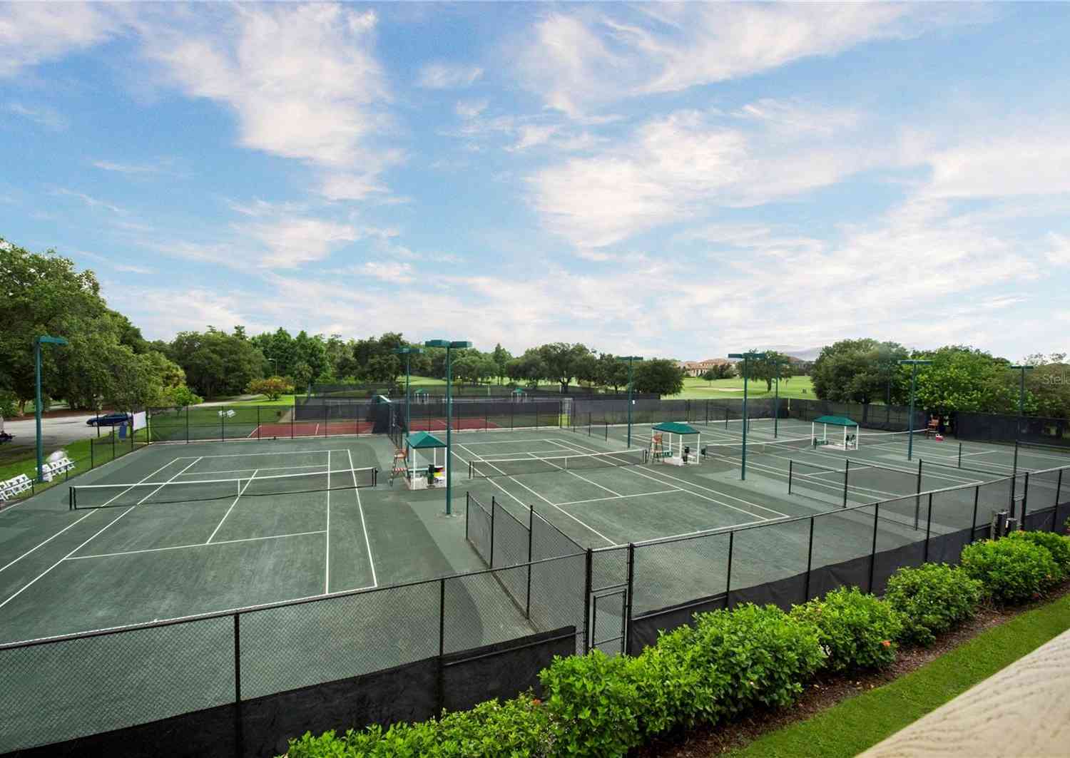 36750 Us Highway 19 #19106, PALM HARBOR, Florida image 36