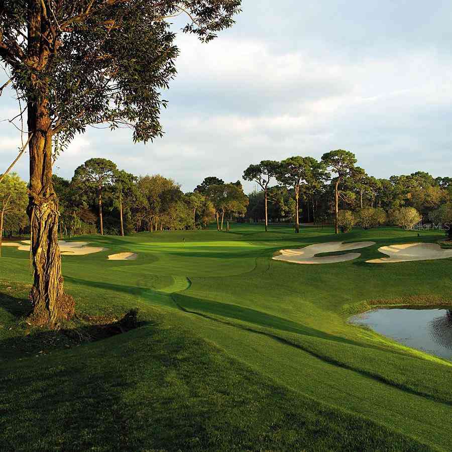 36750 Us Highway 19 #19106, PALM HARBOR, Florida image 40