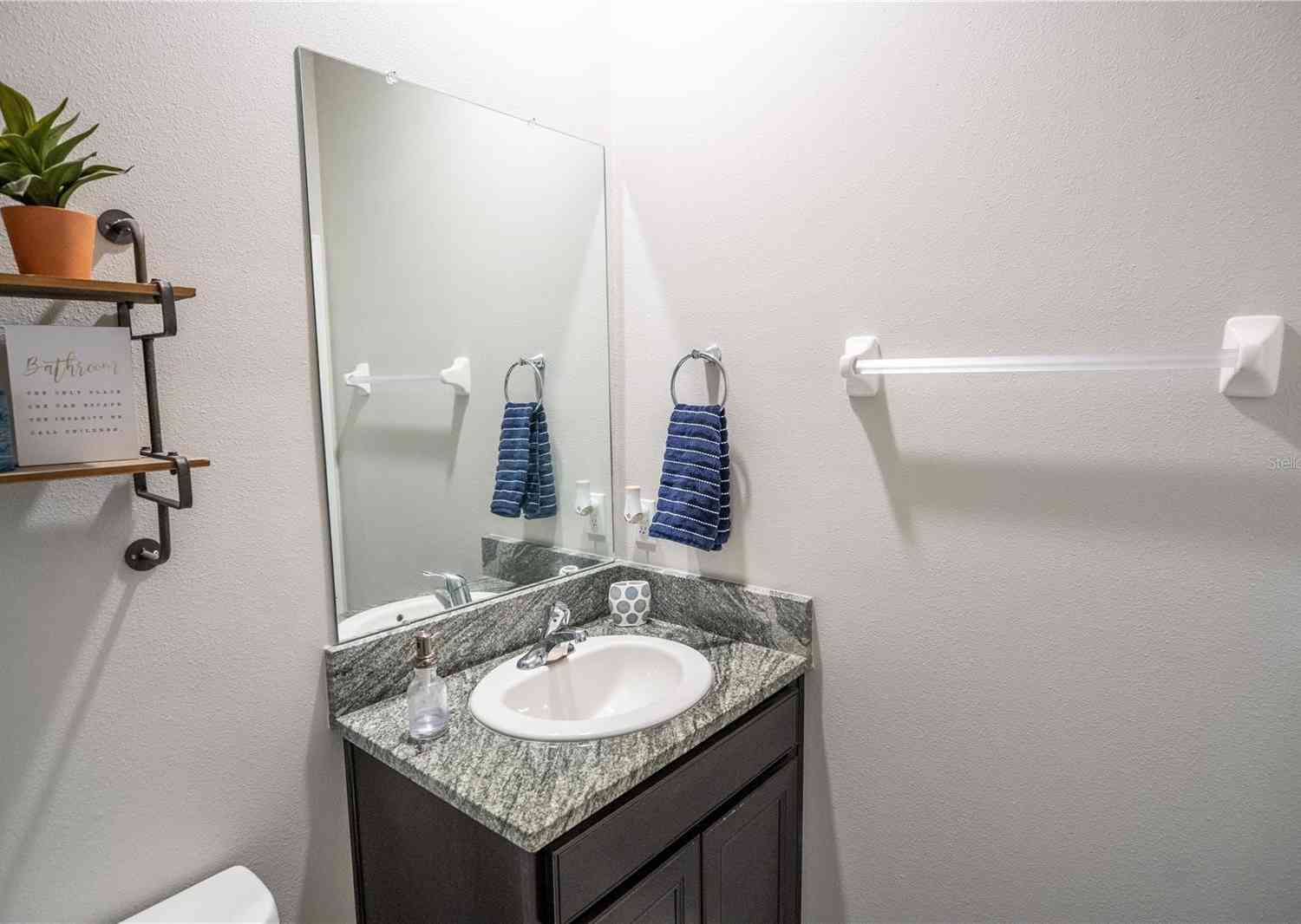 8493 Hardy Bay Loop, Wesley Chapel, Florida image 40
