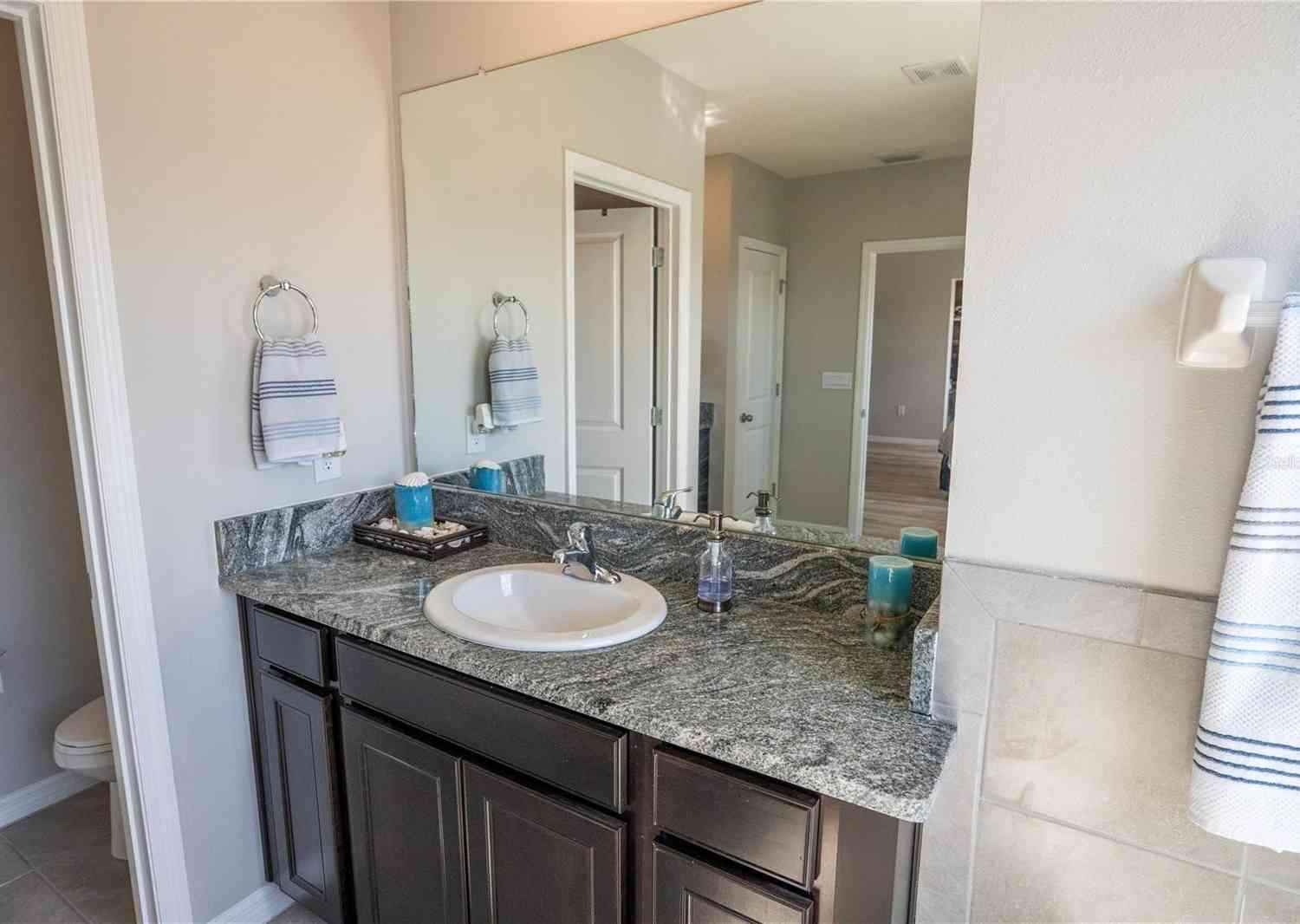 8493 Hardy Bay Loop, Wesley Chapel, Florida image 34