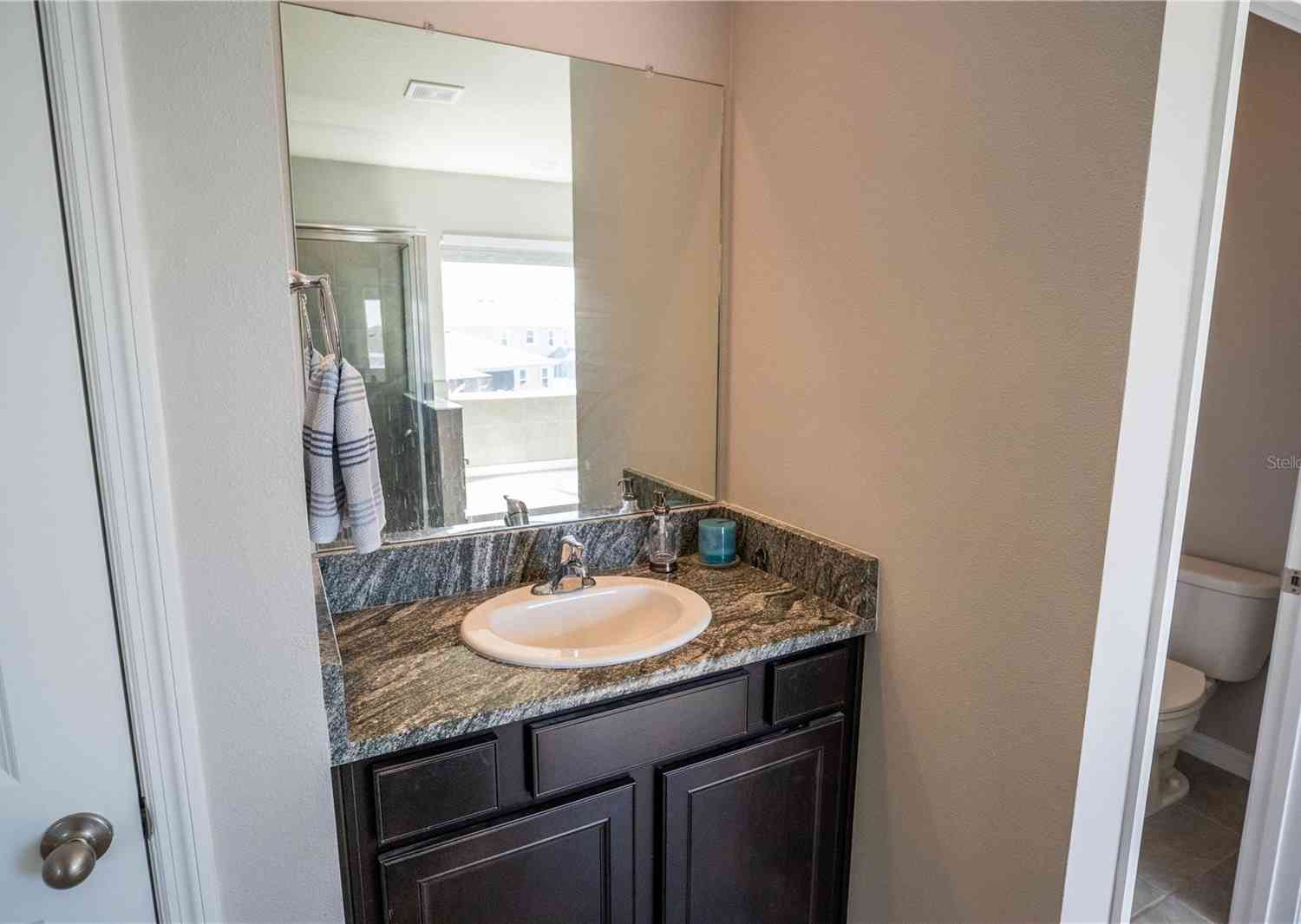 8493 Hardy Bay Loop, Wesley Chapel, Florida image 35