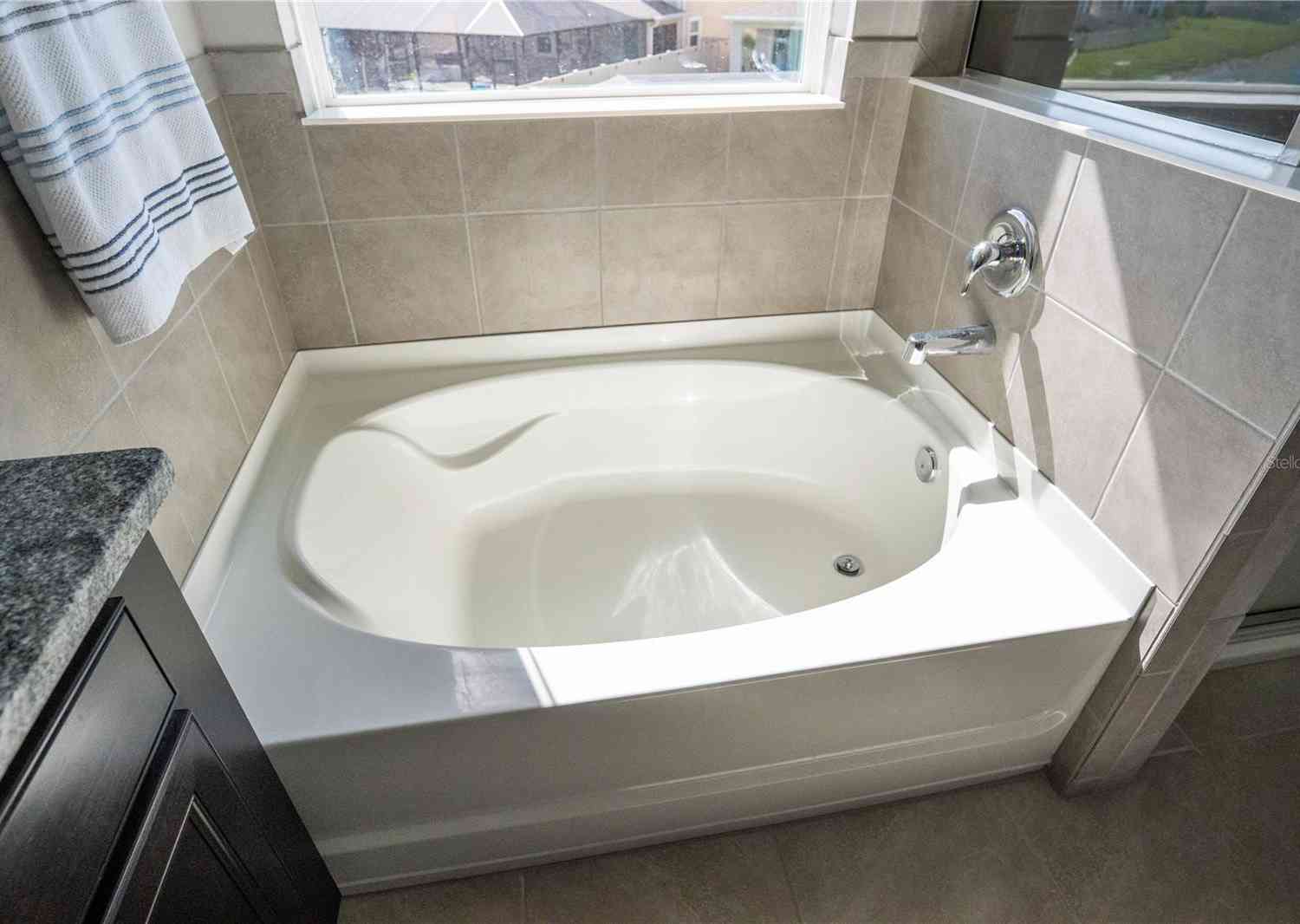 8493 Hardy Bay Loop, Wesley Chapel, Florida image 33