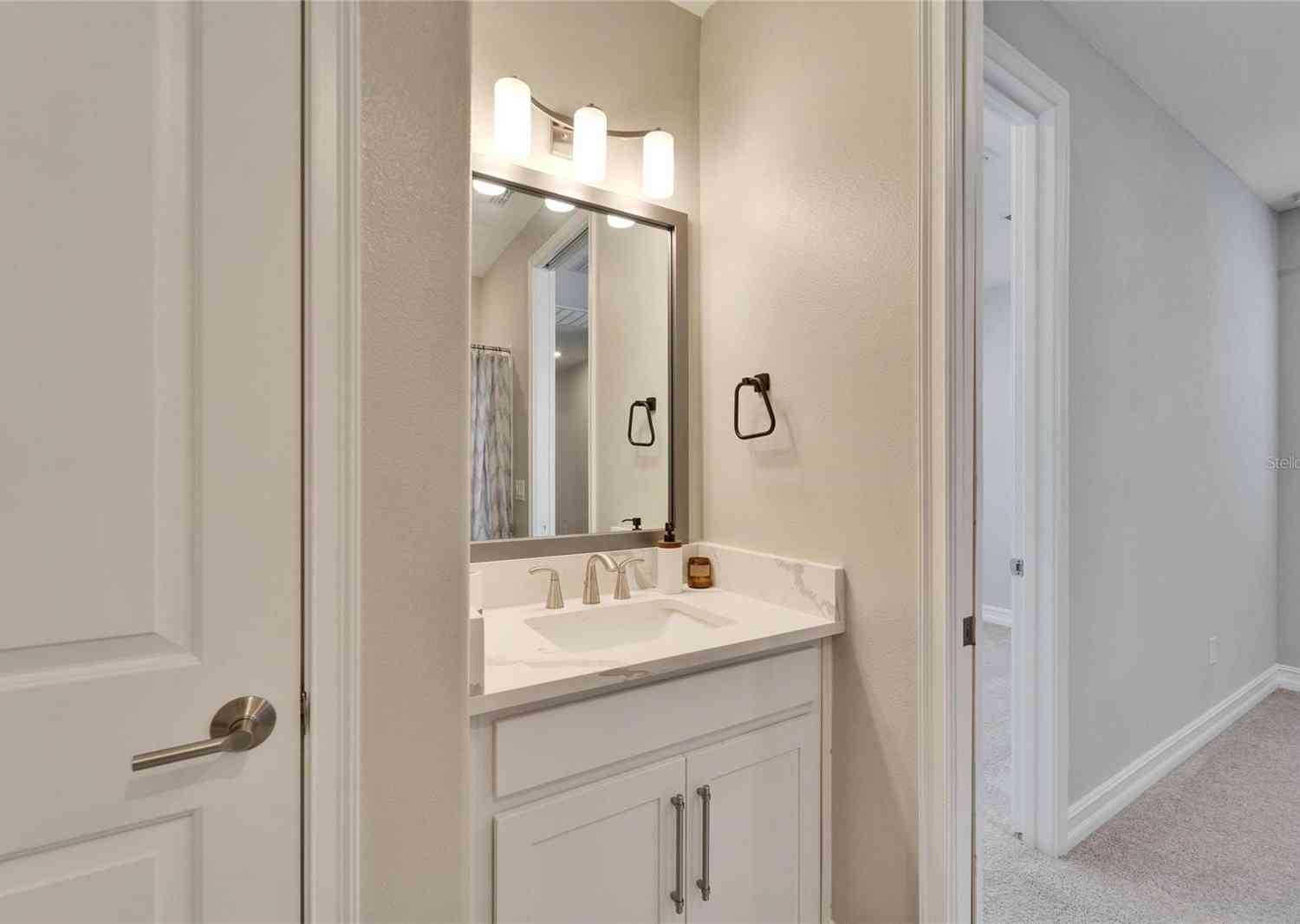 4564 Almada Lane, Wesley Chapel, Florida image 25