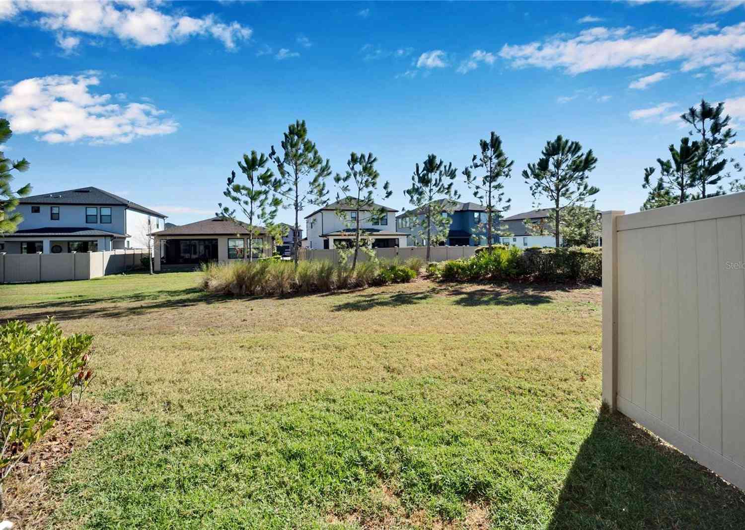 4564 Almada Lane, Wesley Chapel, Florida image 47