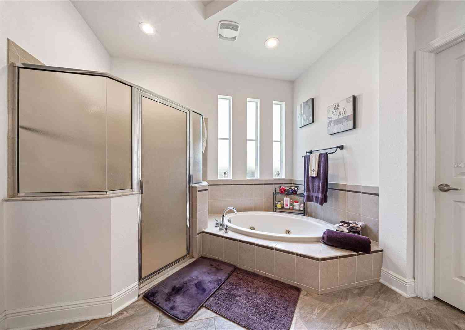 1342 Salmonberry Street, Wesley Chapel, Florida image 15