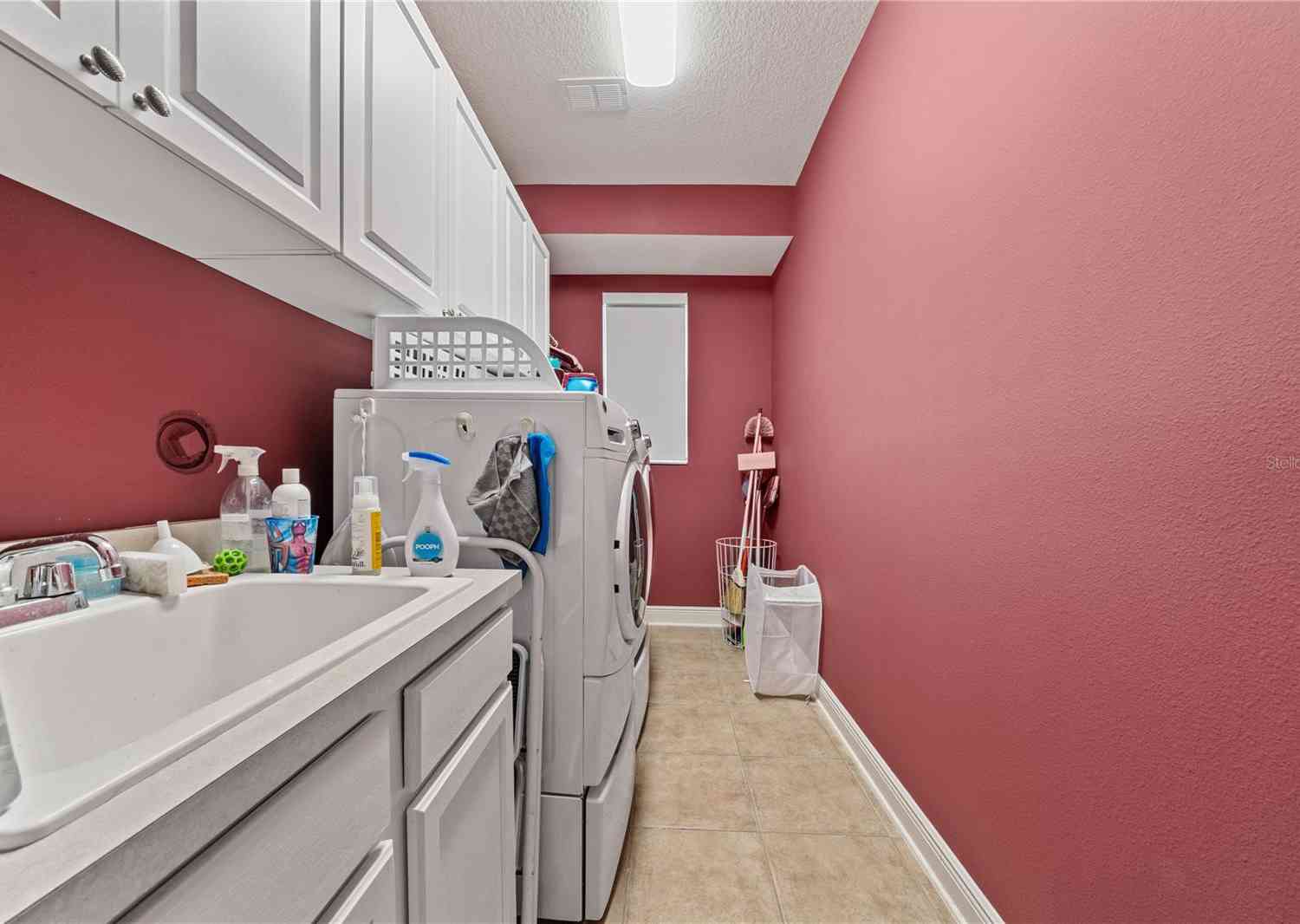 1342 Salmonberry Street, Wesley Chapel, Florida image 35