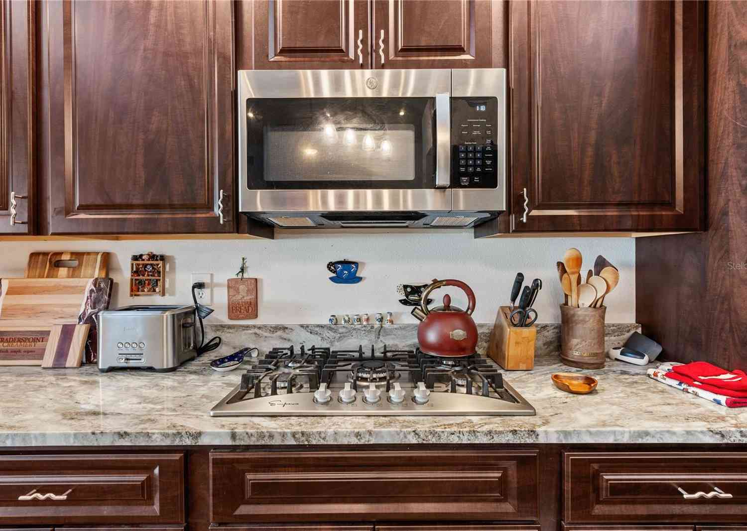 1342 Salmonberry Street, Wesley Chapel, Florida image 4