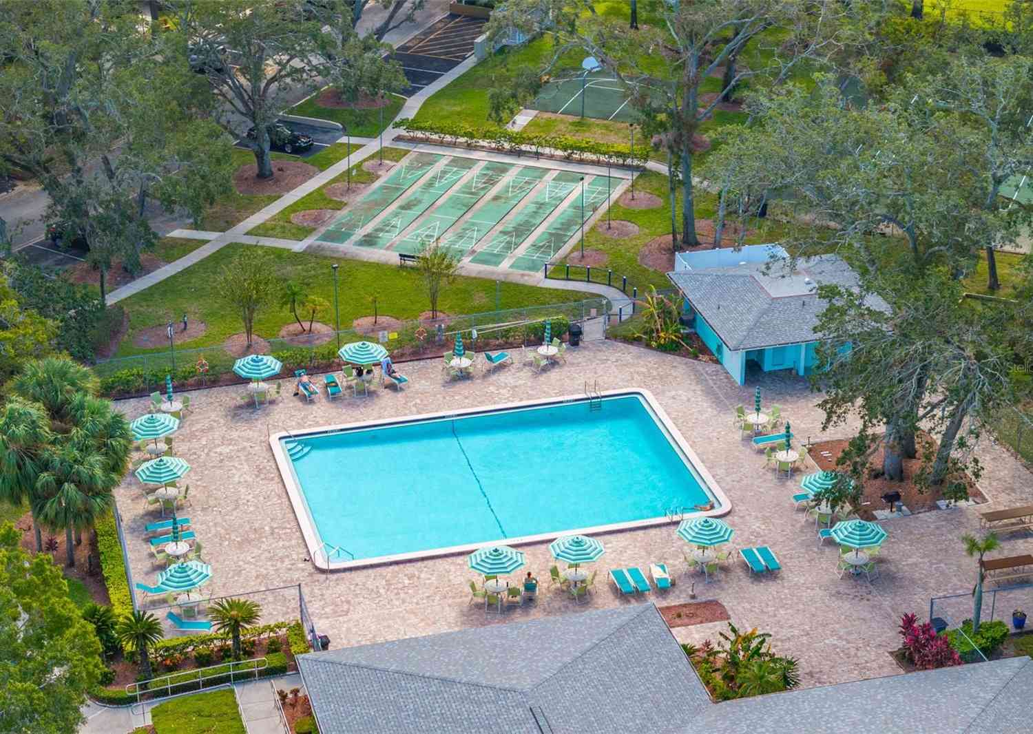 2101 Fox Chase Boulevard #106, PALM HARBOR, Florida image 24