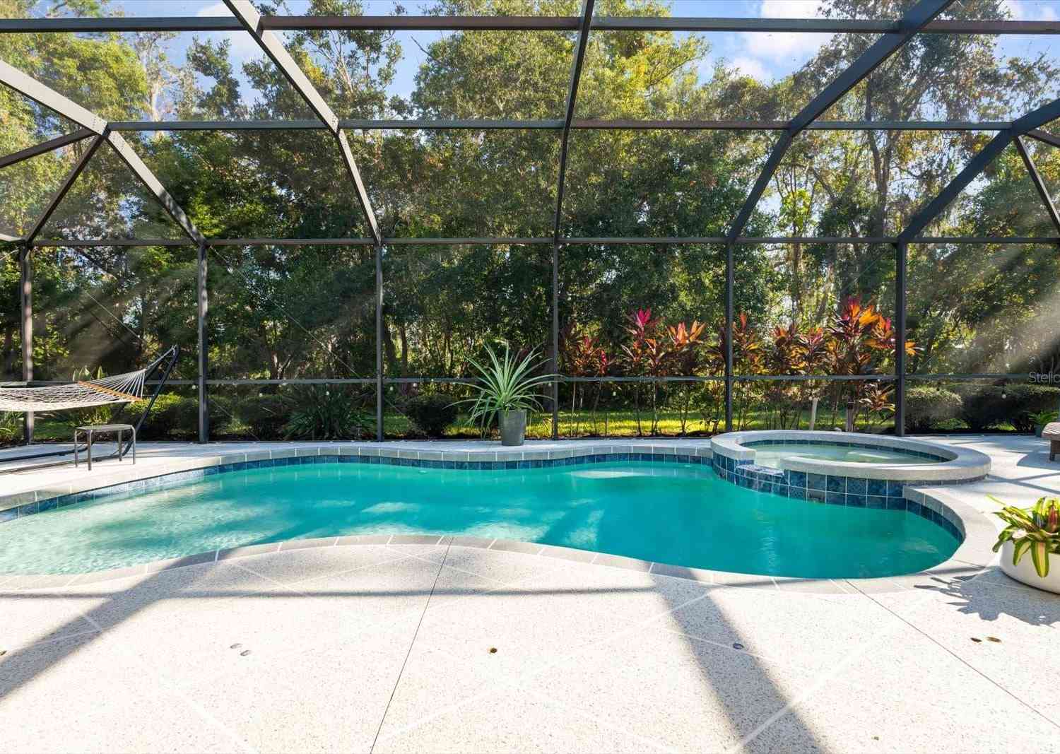 11734 Hidden Forest Loop, PARRISH, Florida image 4