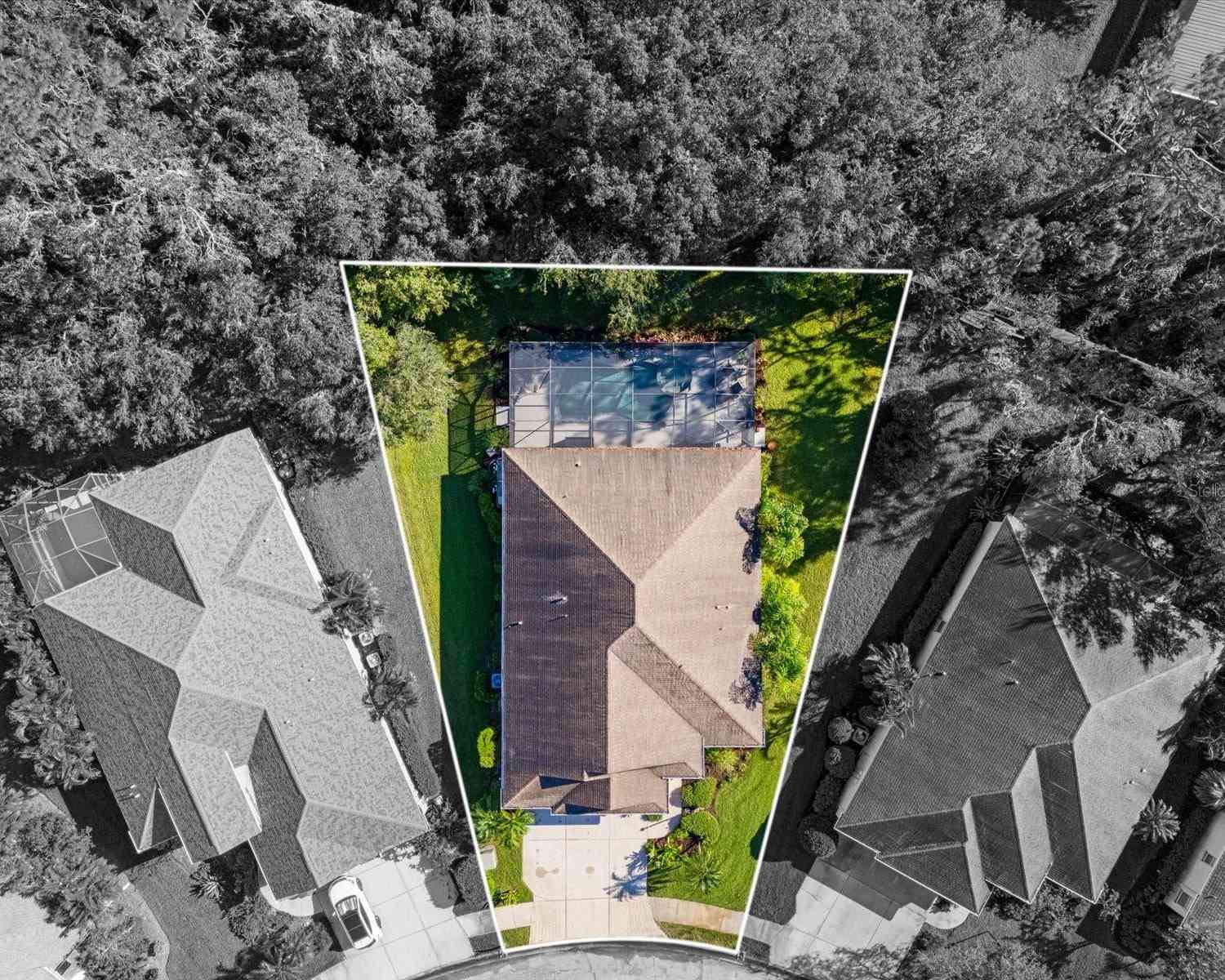 11734 Hidden Forest Loop, PARRISH, Florida image 37