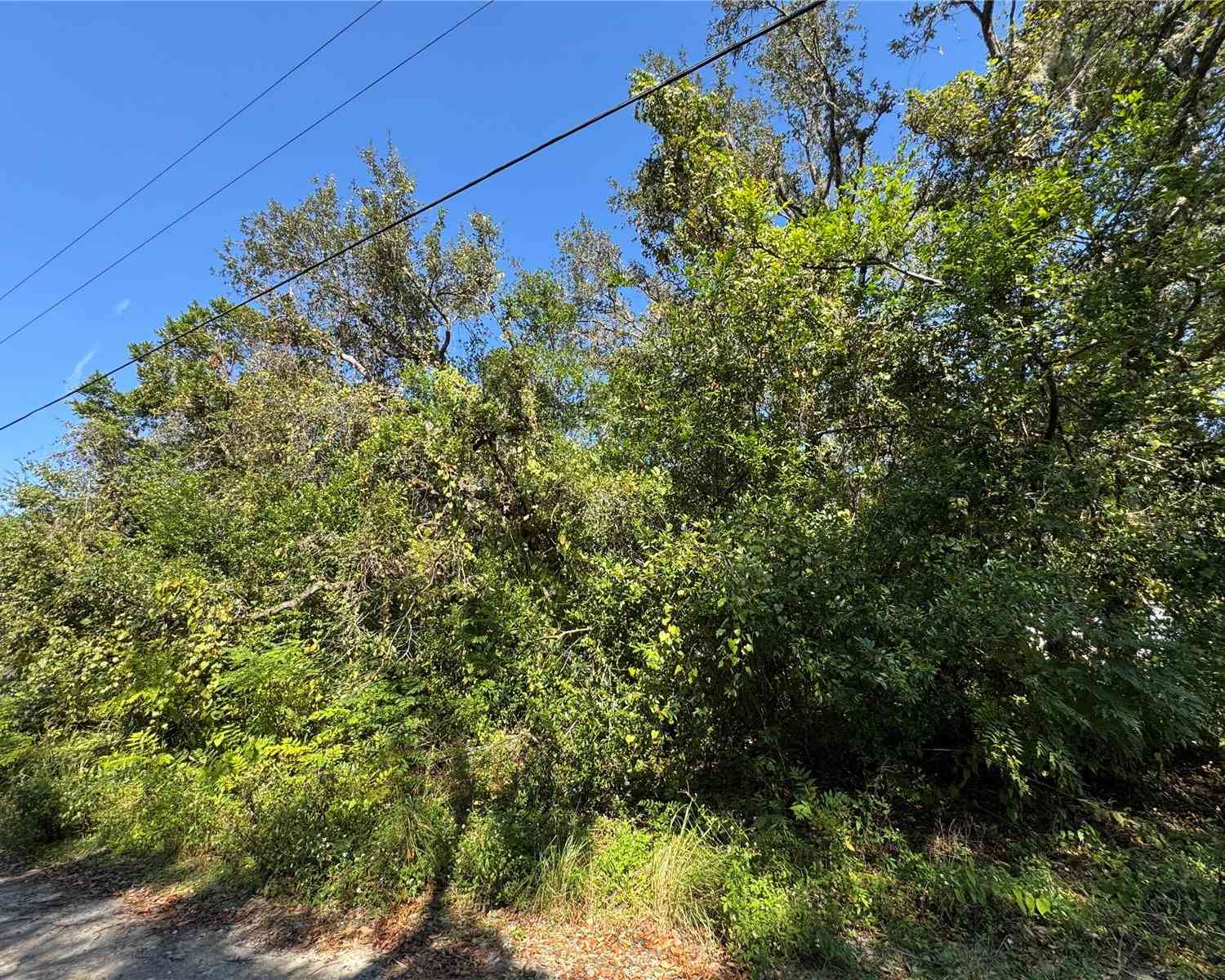 10100 Poplar Street, New Port Richey, Florida image 1