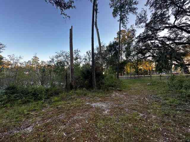 NW 160th Avenue, MORRISTON, Florida image 10