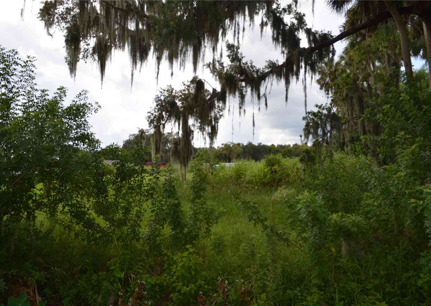 Cameron Avenue Avenue, SANFORD, Florida image 4