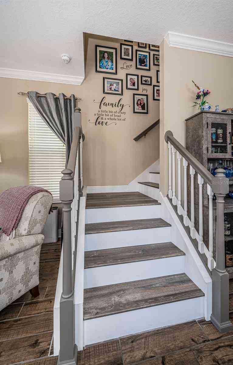 10595 Marsha Drive, New Port Richey, Florida image 7