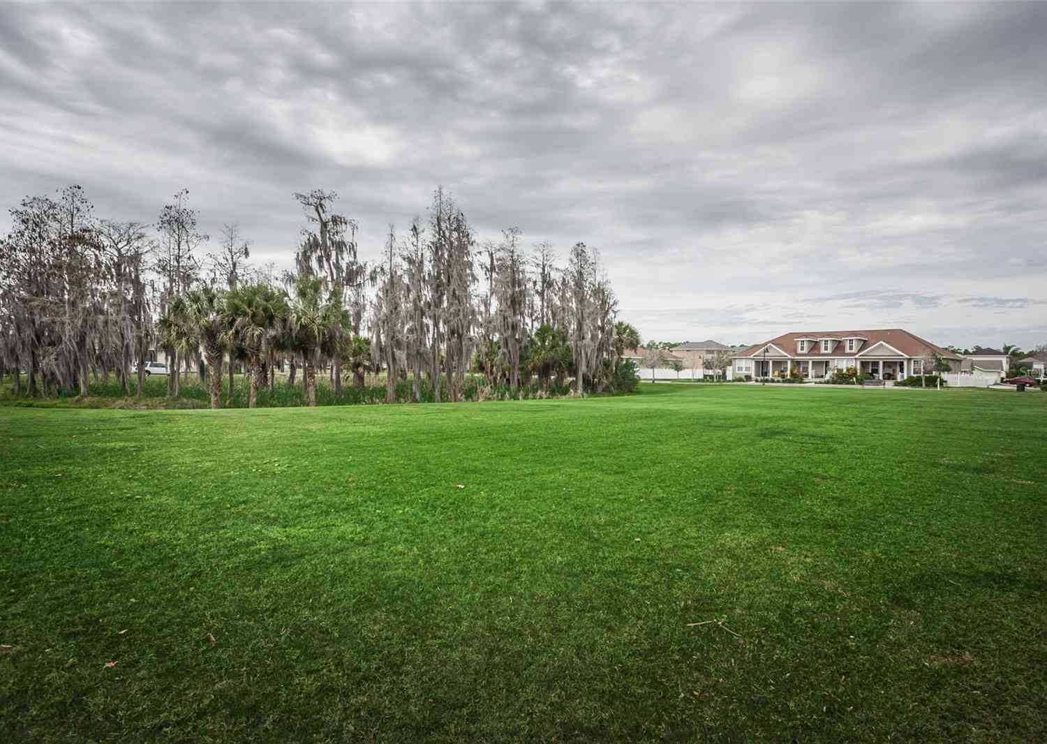10595 Marsha Drive, New Port Richey, Florida image 46