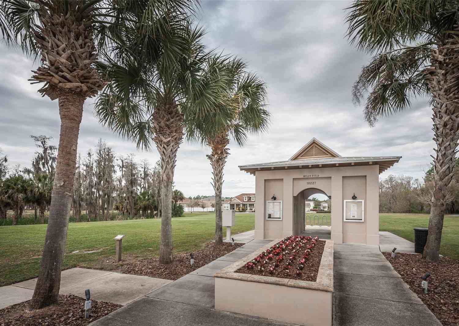 10595 Marsha Drive, New Port Richey, Florida image 45