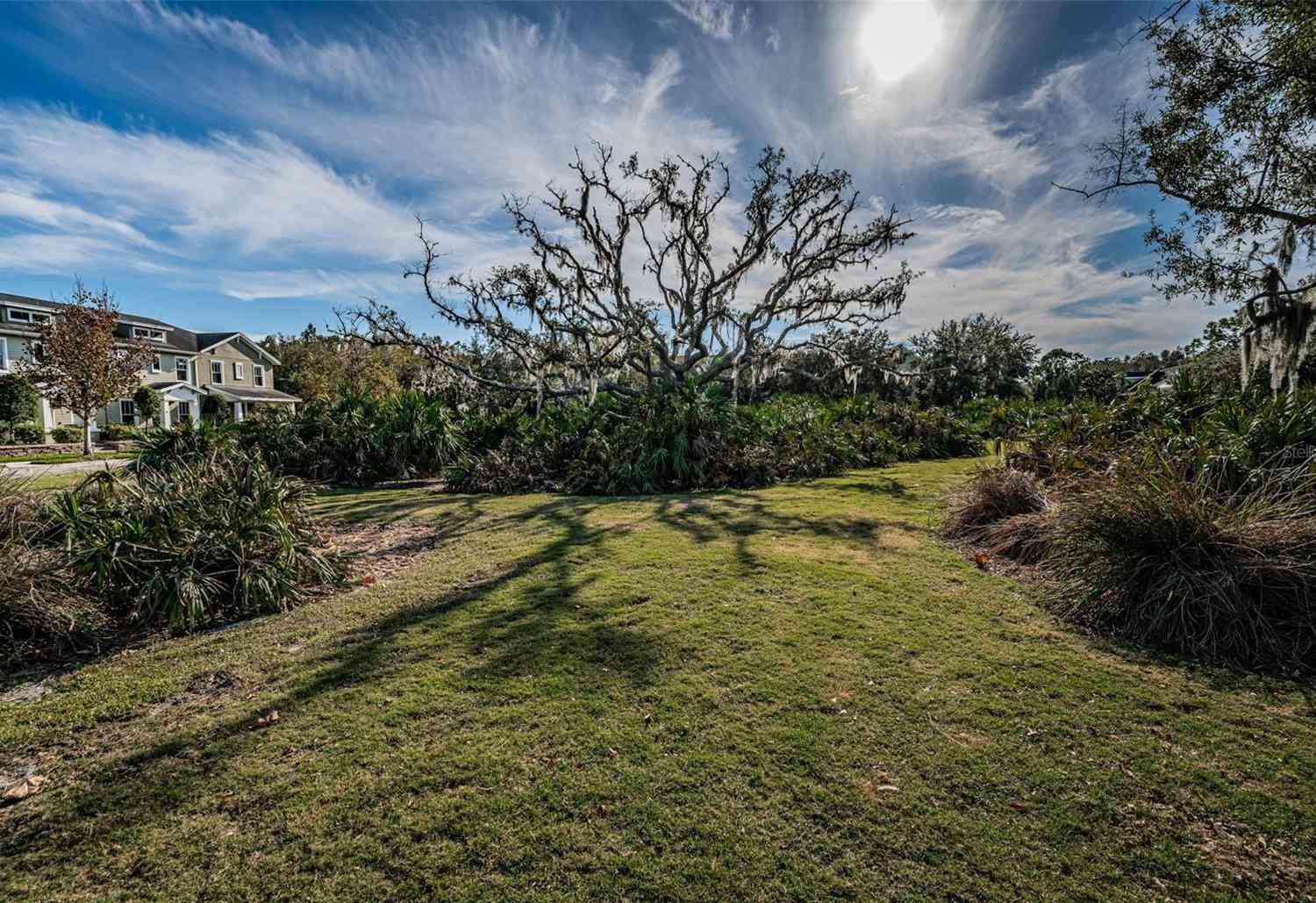 10595 Marsha Drive, New Port Richey, Florida image 34