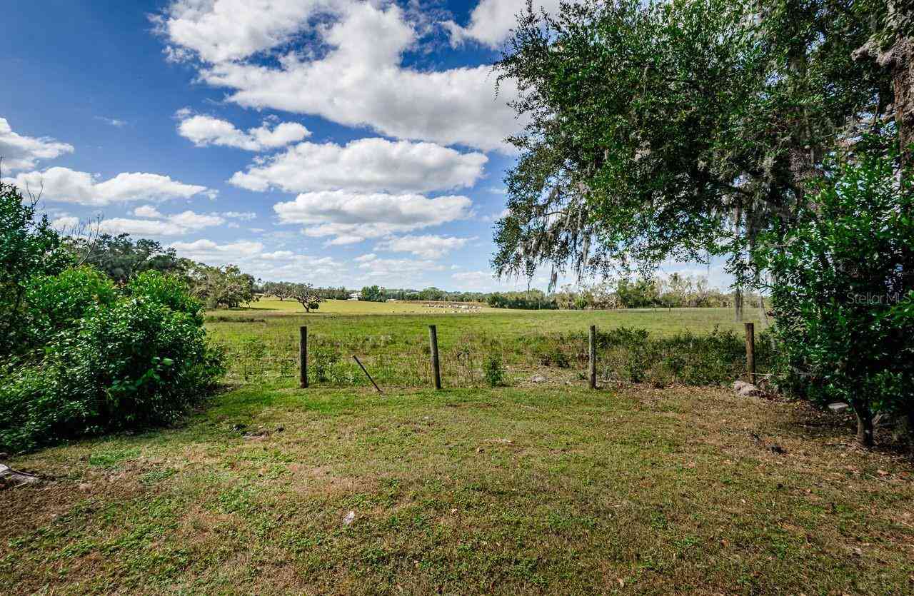 15341 Callista Lane, DADE CITY, Florida image 37