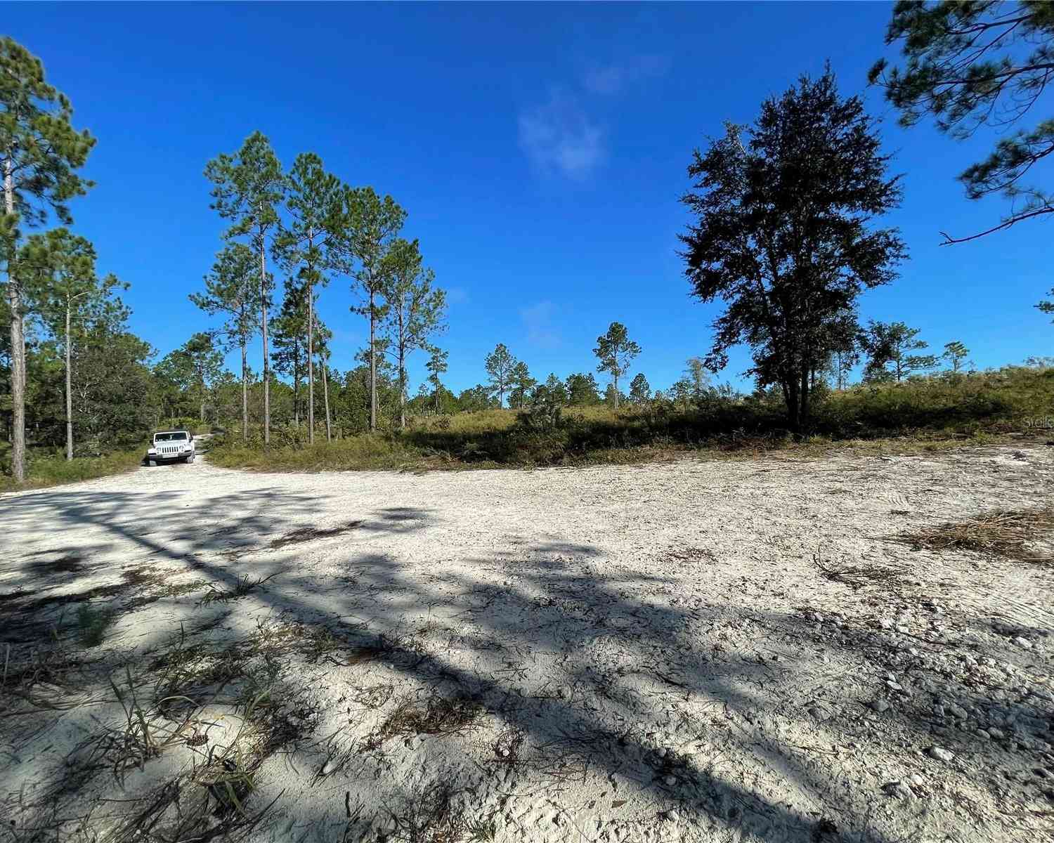 12990 SE 21st Place, MORRISTON, Florida image 38