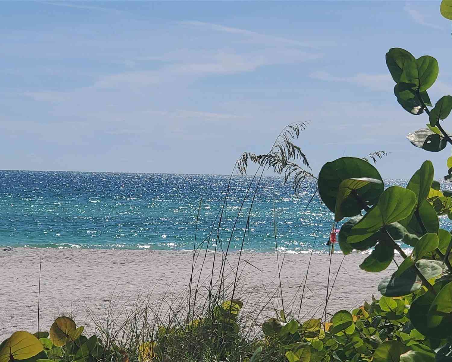 4535 Bimini Drive, BRADENTON, Florida image 8