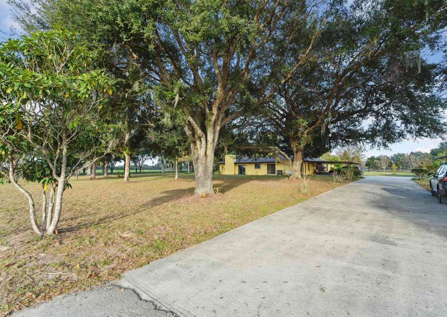 1550 NW 165th Street, CITRA, Florida image 50