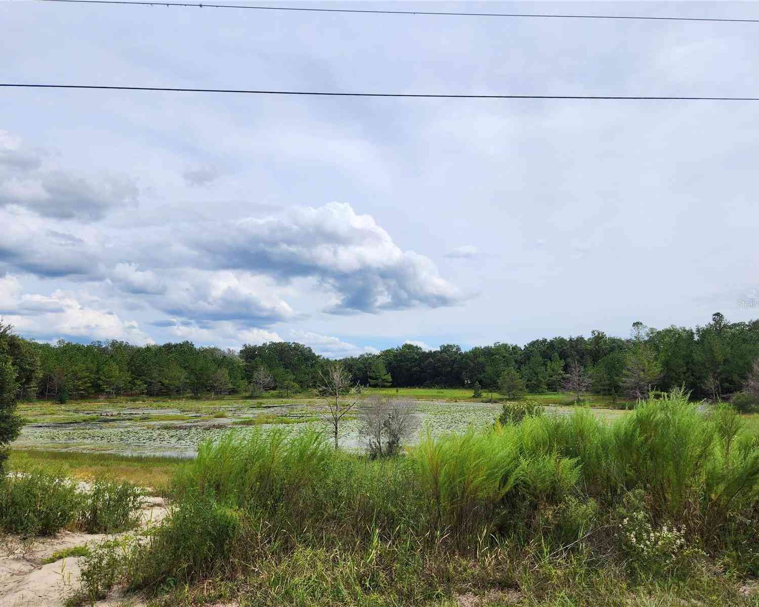 SE 141st Avenue, OCKLAWAHA, Florida image 7