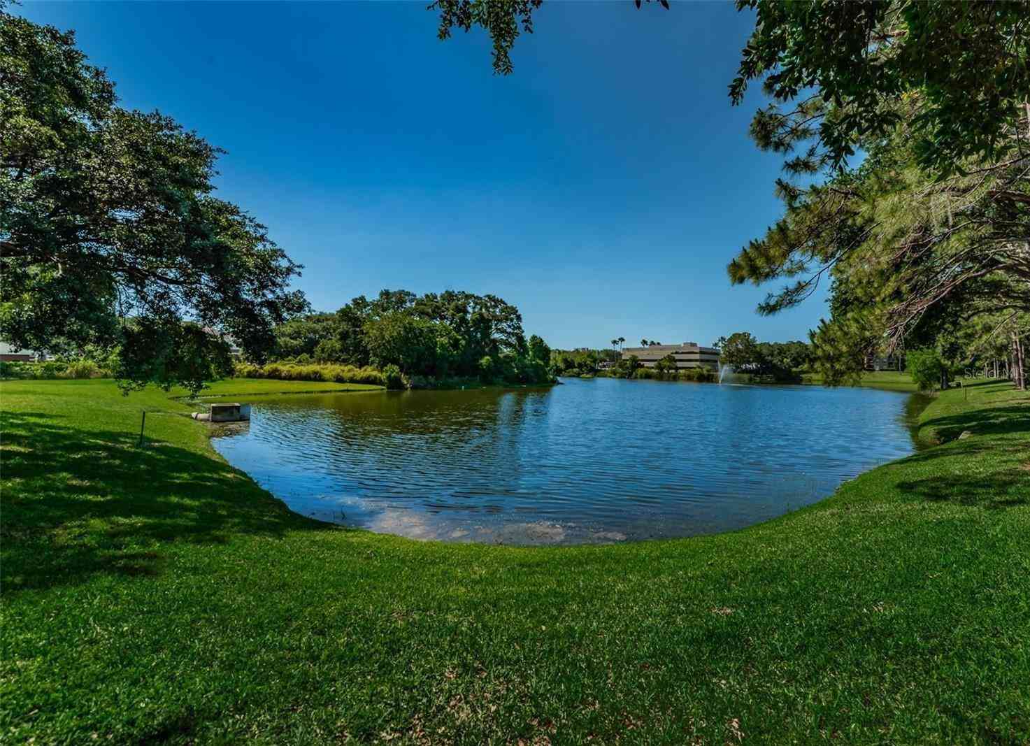 2690 Coral Landings Boulevard #722, PALM HARBOR, Florida image 36