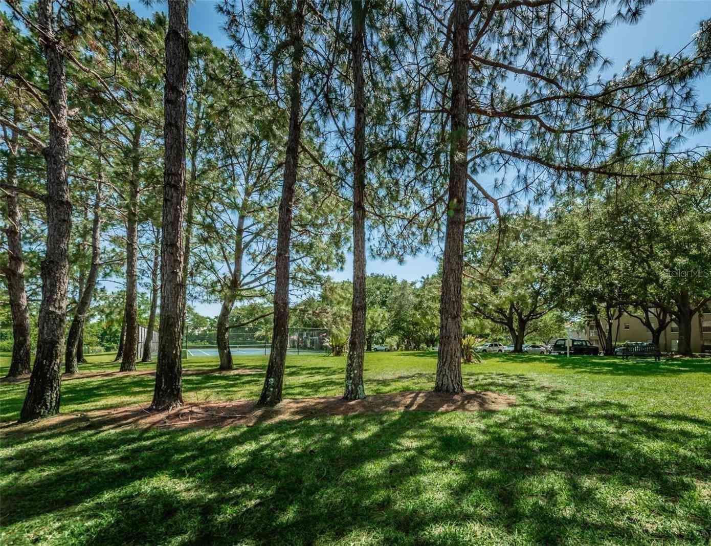 2690 Coral Landings Boulevard #722, PALM HARBOR, Florida image 34