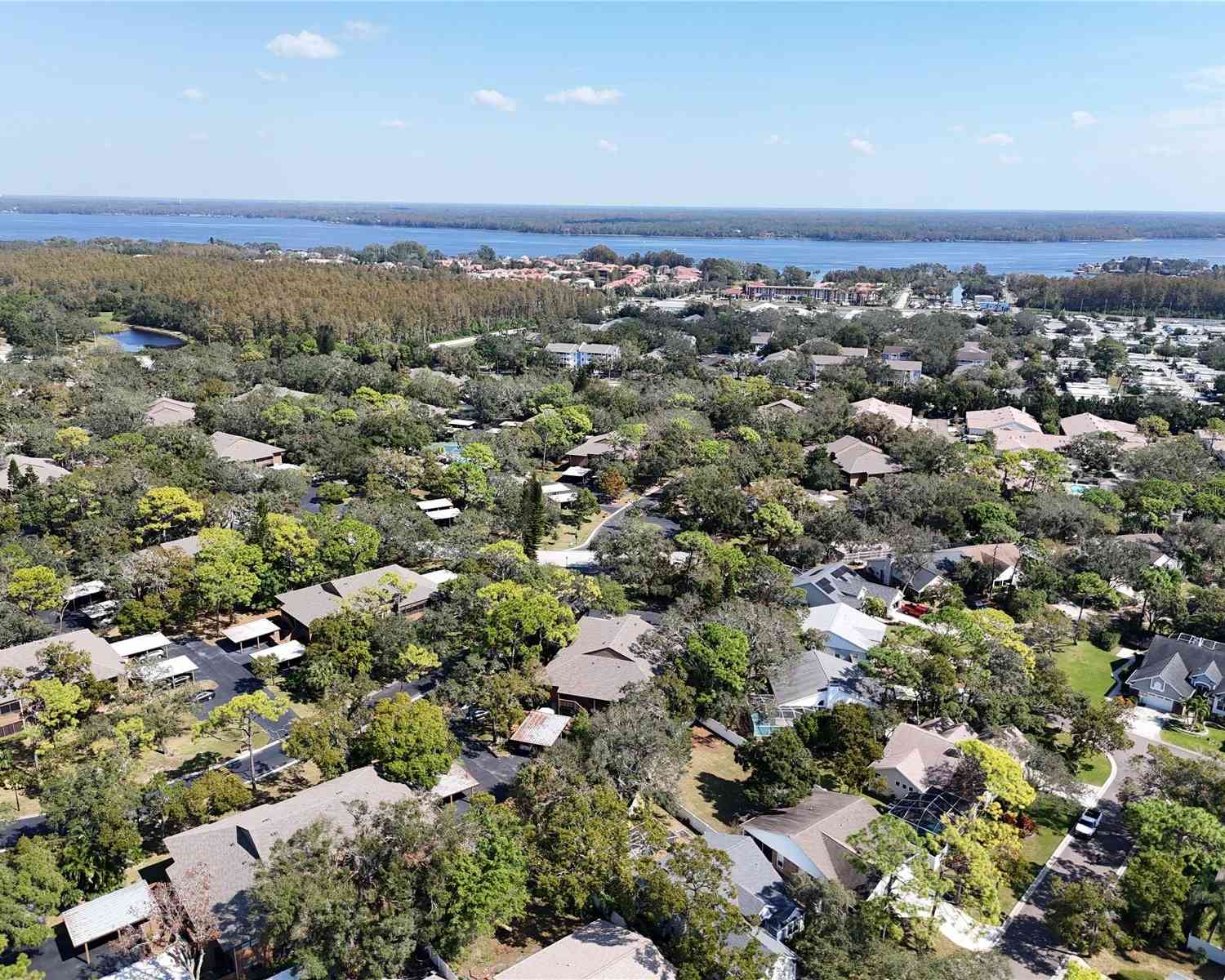 1106 Lennox Road, PALM HARBOR, Florida image 37