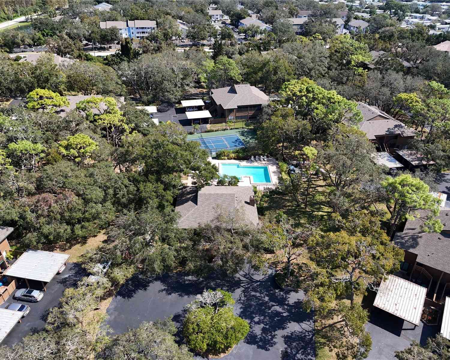 1106 Lennox Road, PALM HARBOR, Florida image 33