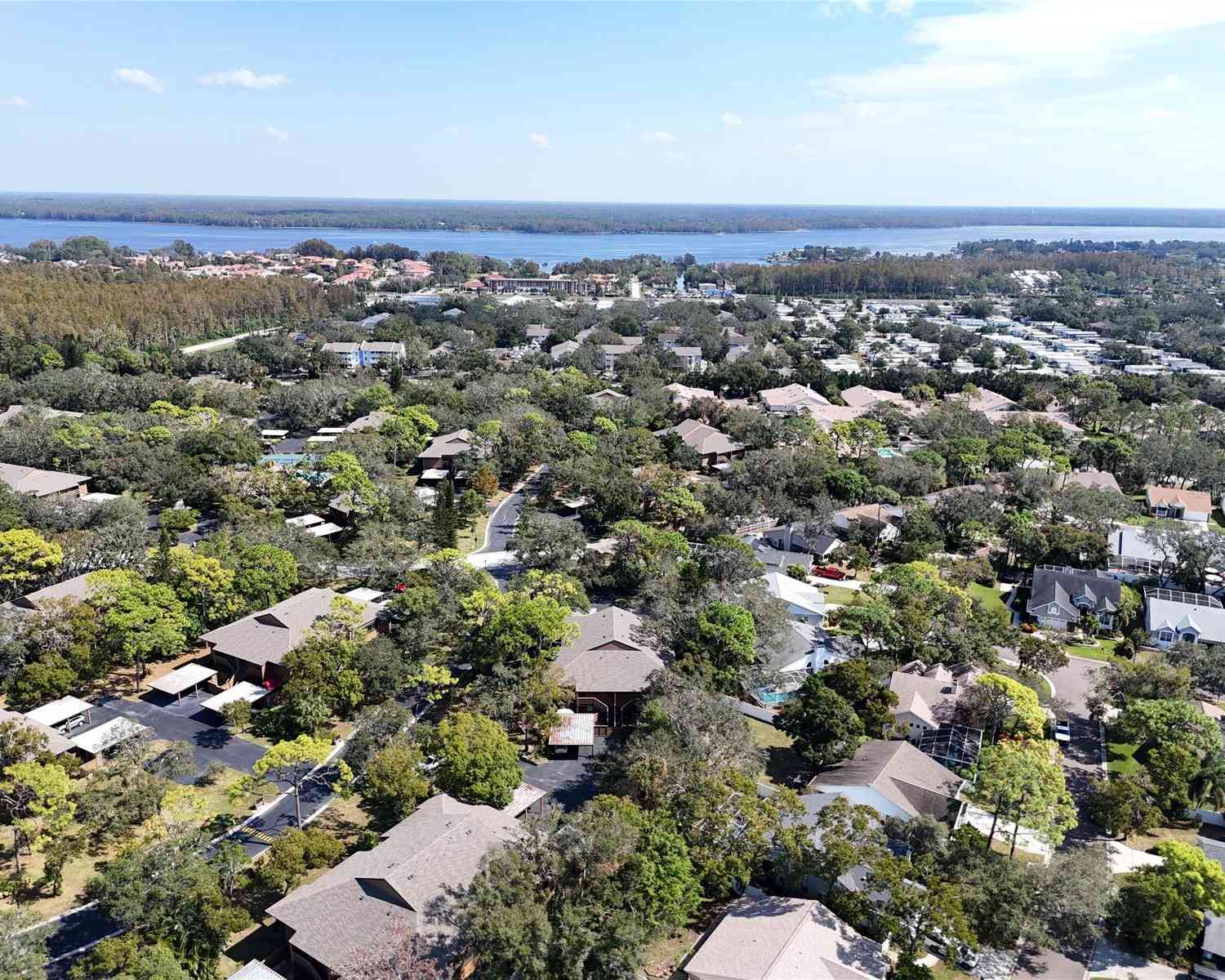 1106 Lennox Road, PALM HARBOR, Florida image 36