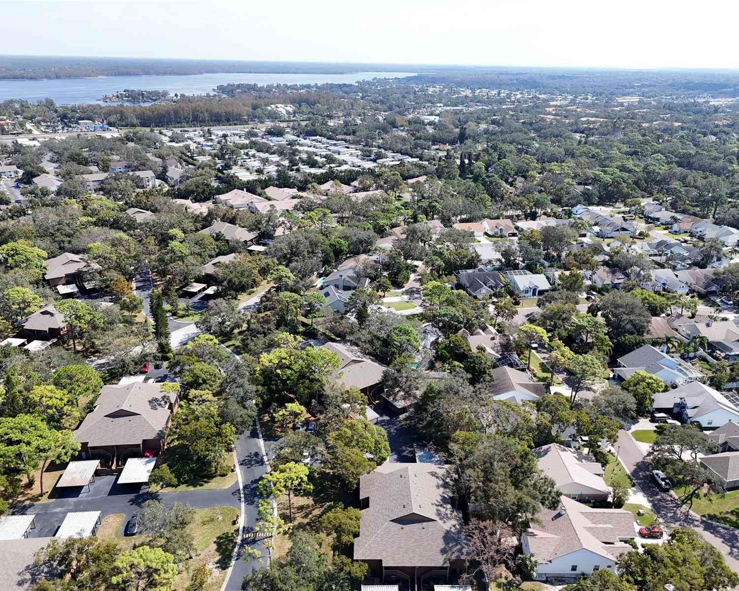 1106 Lennox Road, PALM HARBOR, Florida image 34