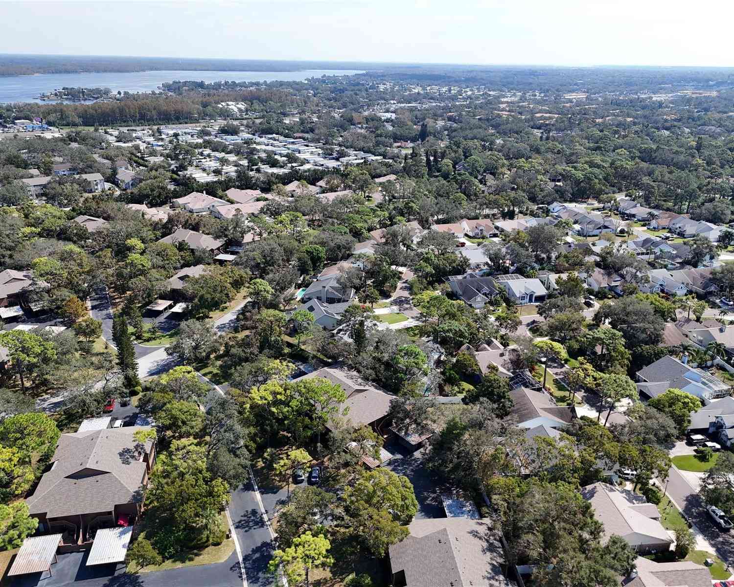 1106 Lennox Road, PALM HARBOR, Florida image 35