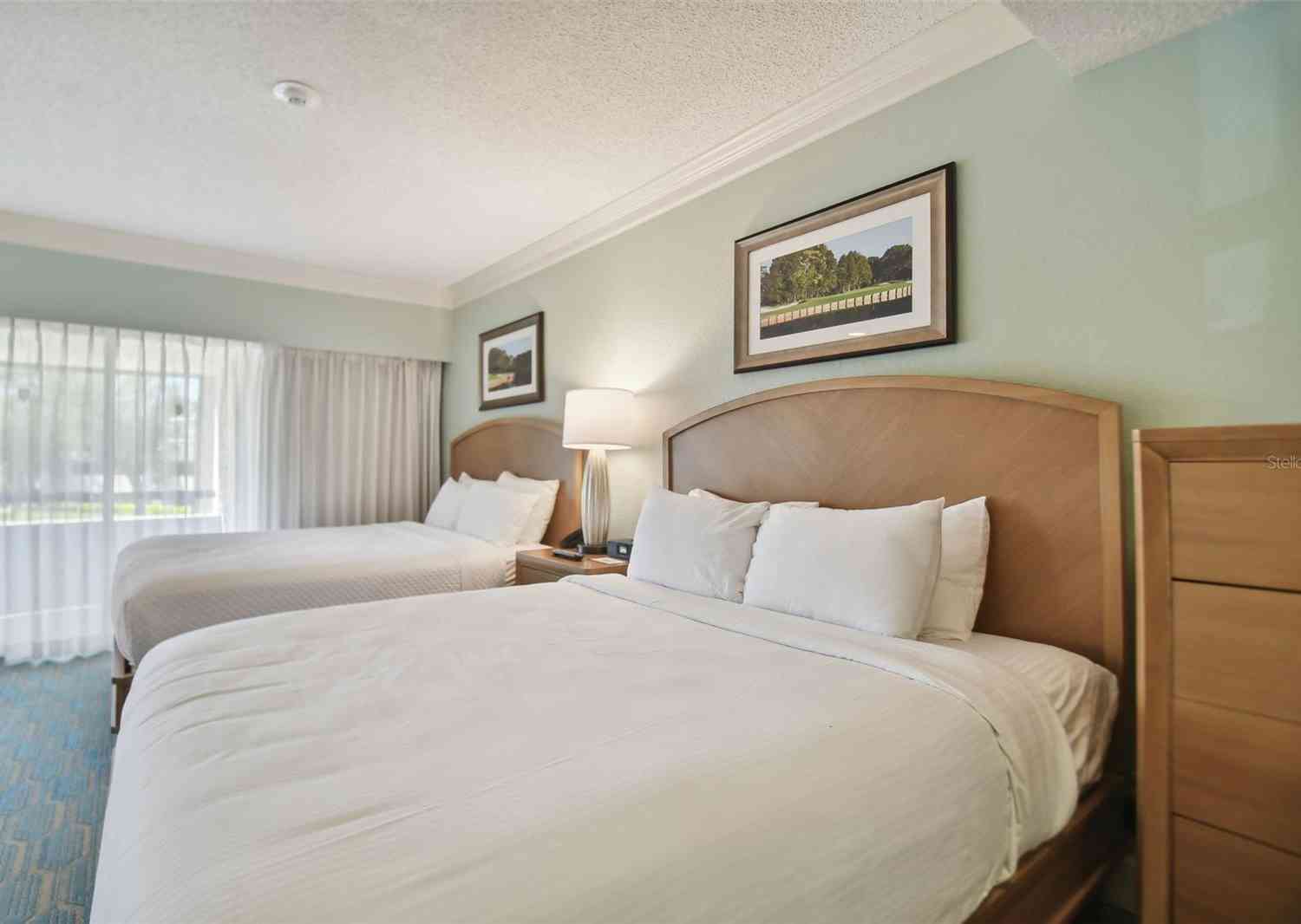 36750 Us Highway 19 #19206, PALM HARBOR, Florida image 13