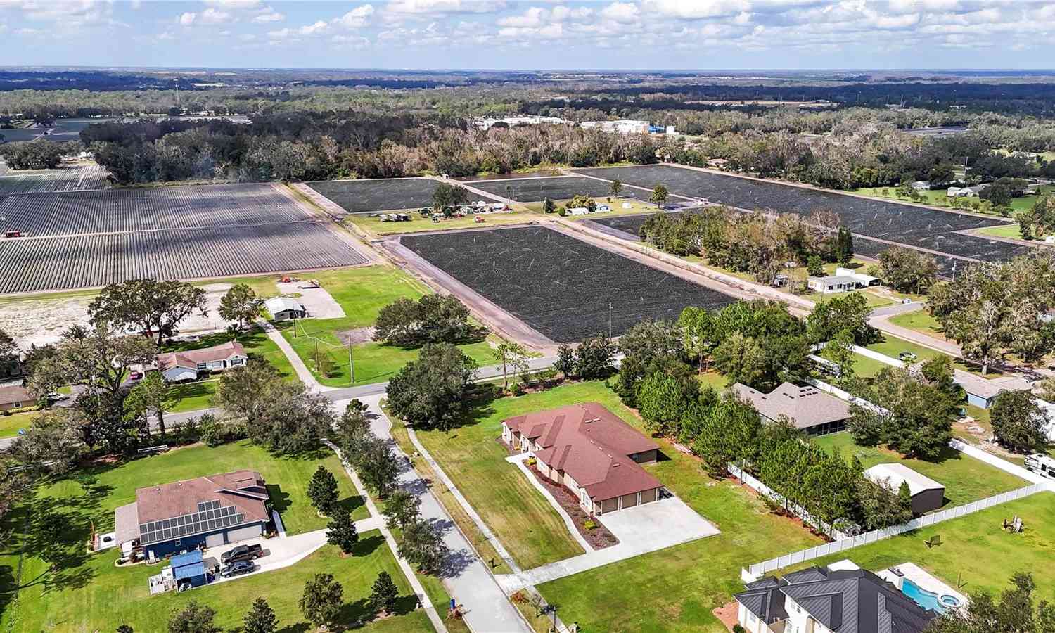 13102 Done Groven Drive, DOVER, Florida image 50