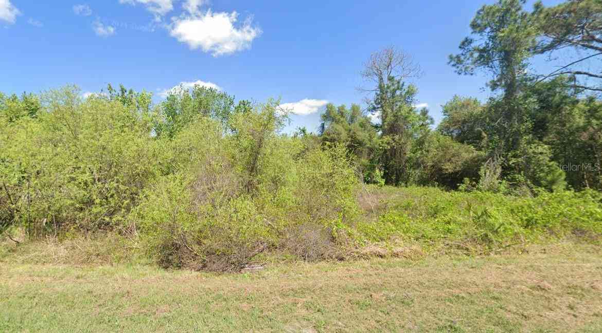 Lot 21 & Lot 22 Spruce Drive, GEORGETOWN, Florida image 18