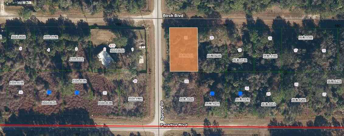 Lot 21 & Lot 22 Spruce Drive, GEORGETOWN, Florida image 12