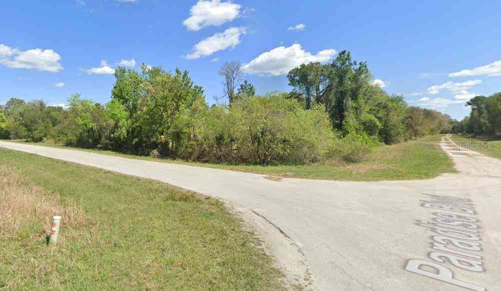 Lot 21 & Lot 22 Spruce Drive, GEORGETOWN, Florida image 21