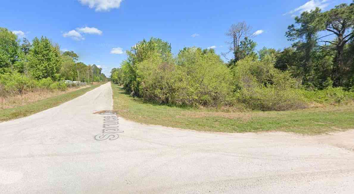 Lot 21 & Lot 22 Spruce Drive, GEORGETOWN, Florida image 5