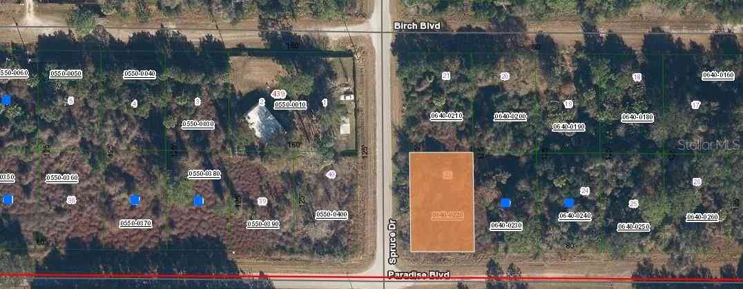 Lot 21 & Lot 22 Spruce Drive, GEORGETOWN, Florida image 13