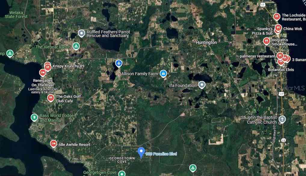 Lot 21 & Lot 22 Spruce Drive, GEORGETOWN, Florida image 14