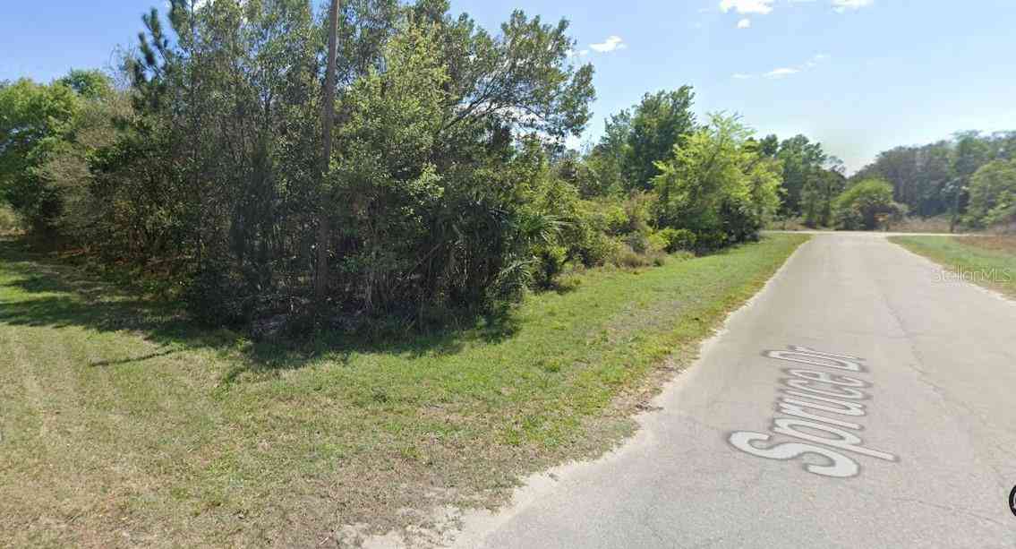 Lot 22 & Lot 21 Spruce Drive, GEORGETOWN, Florida image 4