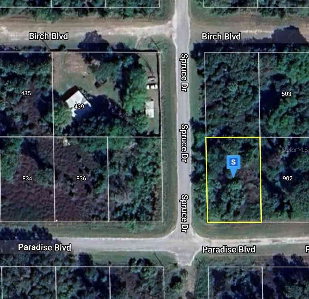 Lot 22 & Lot 21 Spruce Drive, GEORGETOWN, Florida image 3