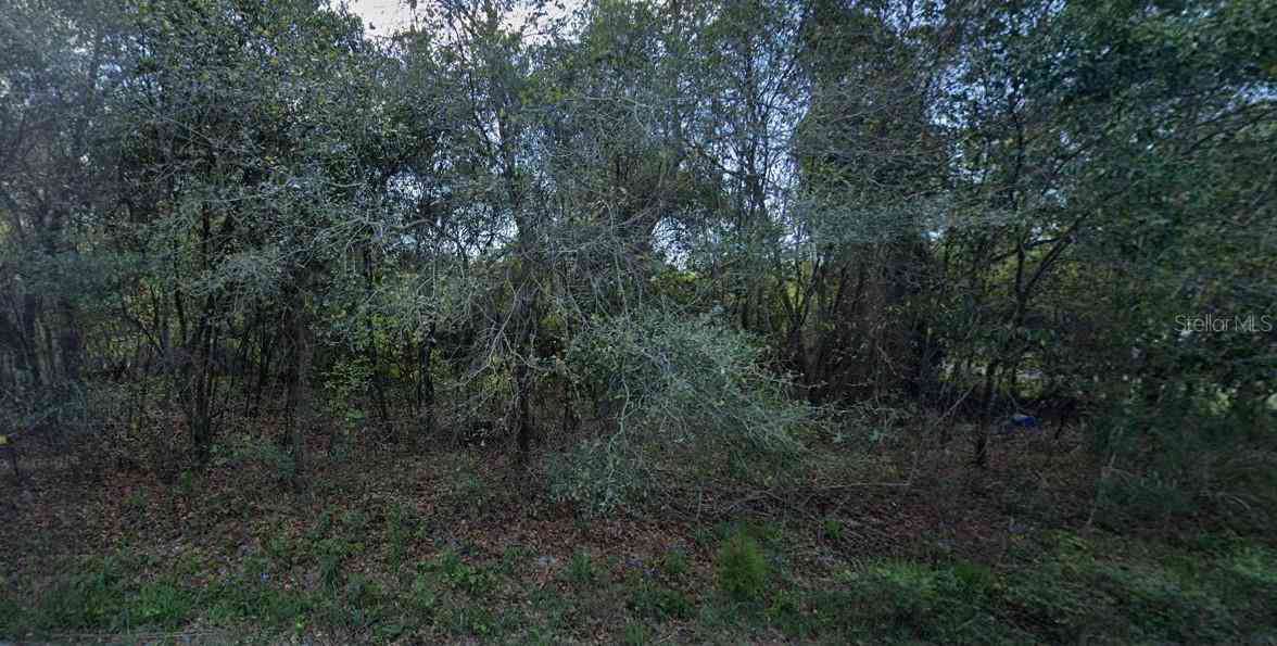 Lot 22 & Lot 21 Spruce Drive, GEORGETOWN, Florida image 8