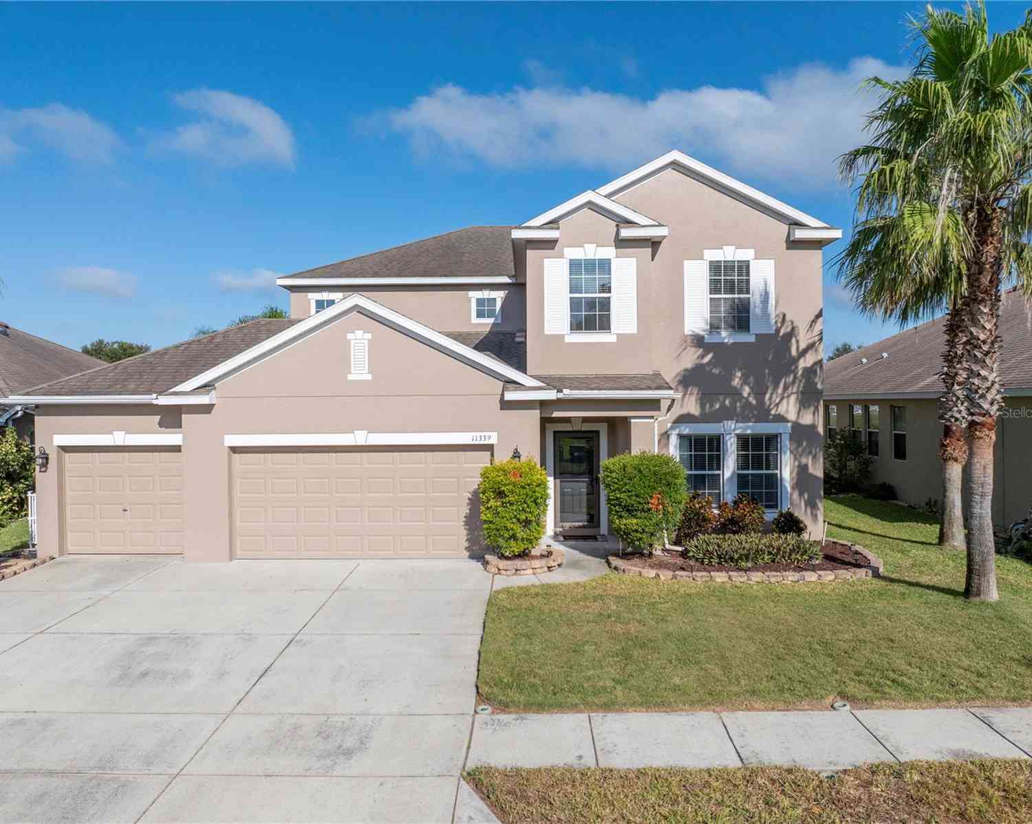 11339 Tayport Loop, New Port Richey, Florida image 2