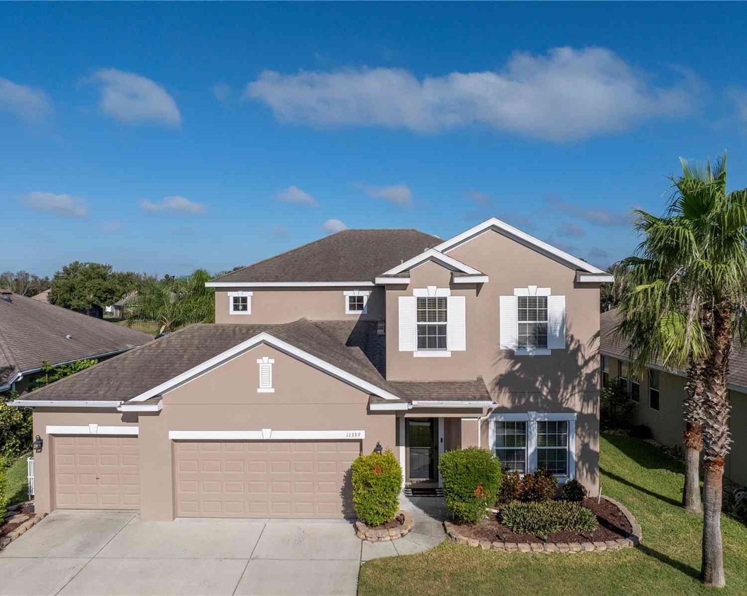 11339 Tayport Loop, New Port Richey, Florida image 3