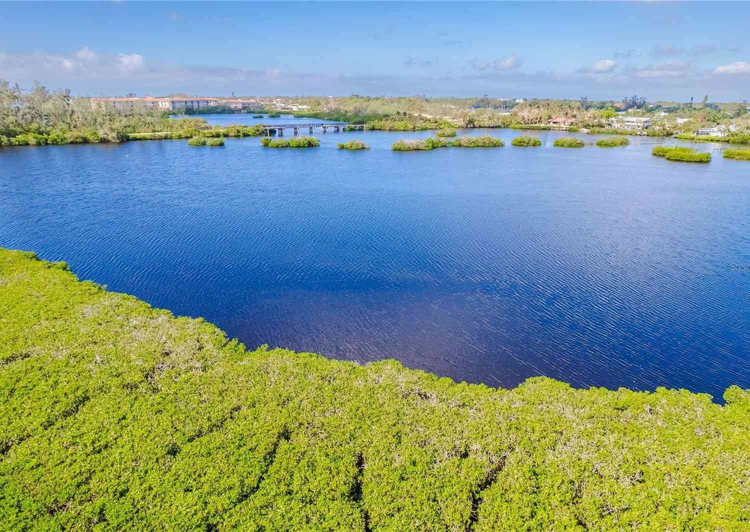 984 Bird Bay Way #255, VENICE, Florida image 6