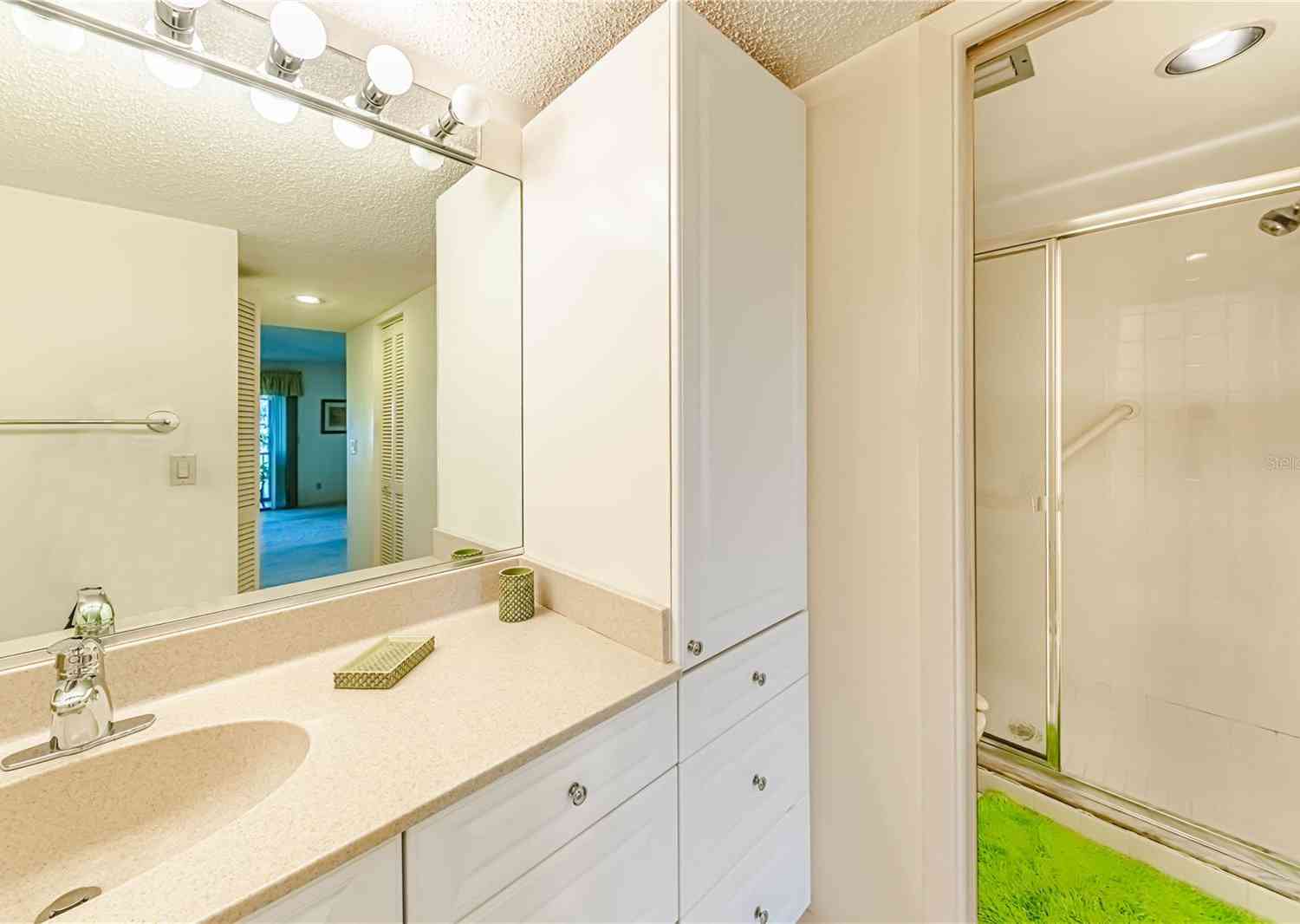984 Bird Bay Way #255, VENICE, Florida image 18