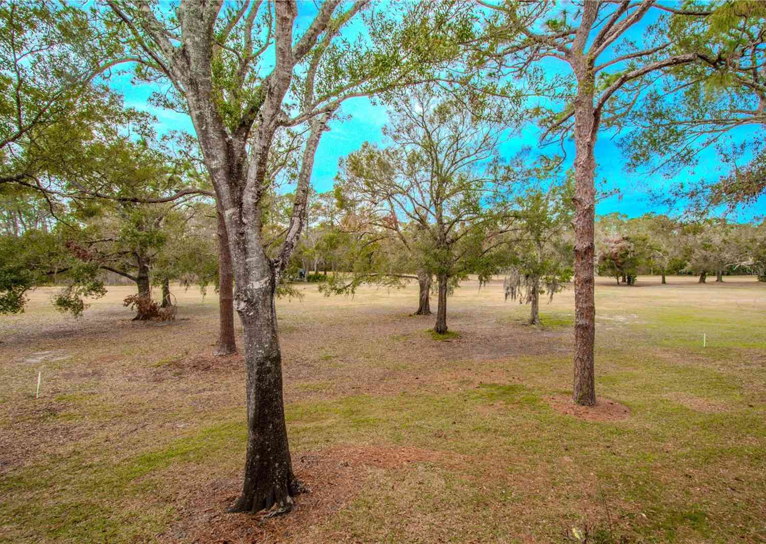 3505 Tarpon Woods Boulevard #K409, PALM HARBOR, Florida image 19