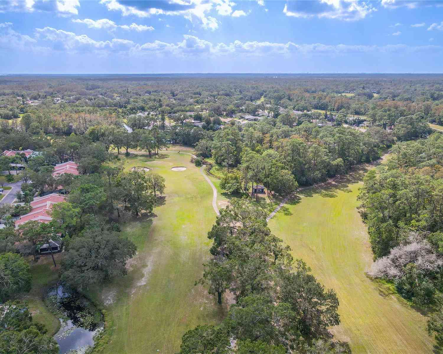 3505 Tarpon Woods Boulevard #K409, PALM HARBOR, Florida image 33